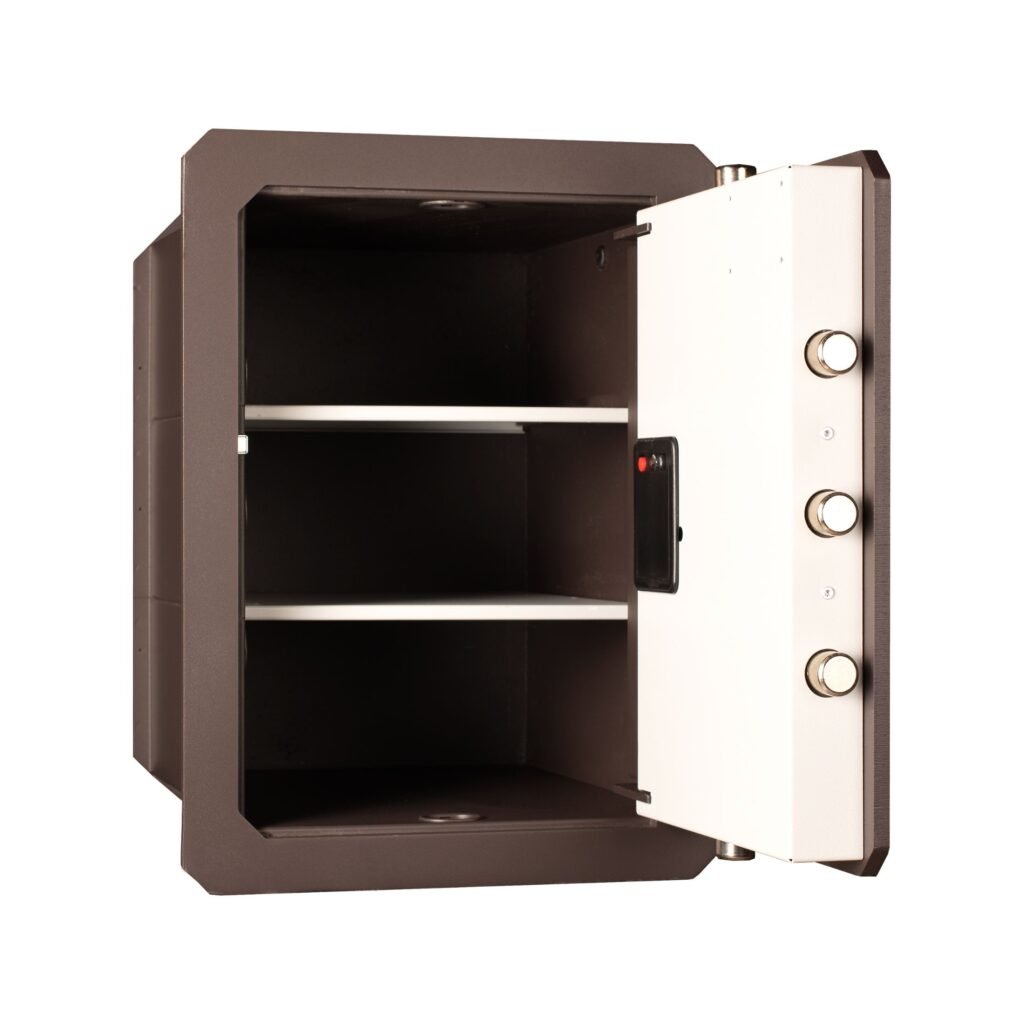 Caja fuerte Mural ARCAS OLLE SERIE 1000 LM (Llave y combinación mecánica)